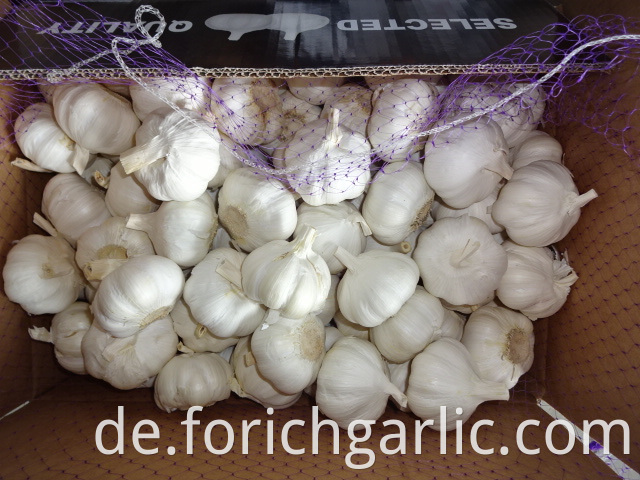 Pure White Garlic